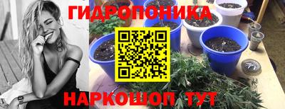бошки Обь