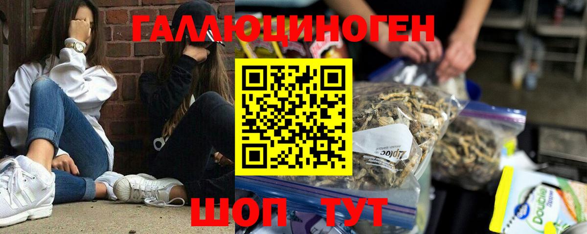 Галлюциногенные грибы Psilocybe  купить  цена  Вход с VPN  Александров  Псилоцибиновые грибы Psilocybe 