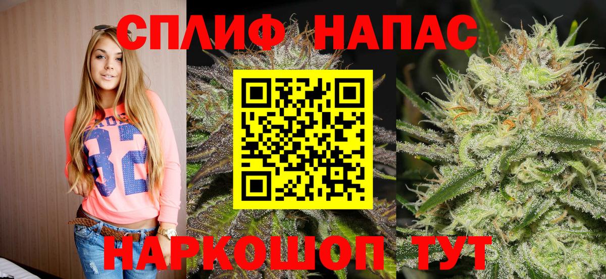 Александров  Шишки марихуана сатива  Вход с VPN  Шишки марихуана план  МАРИХУАНА Bruce Banner  Бошки Шишки планчик 